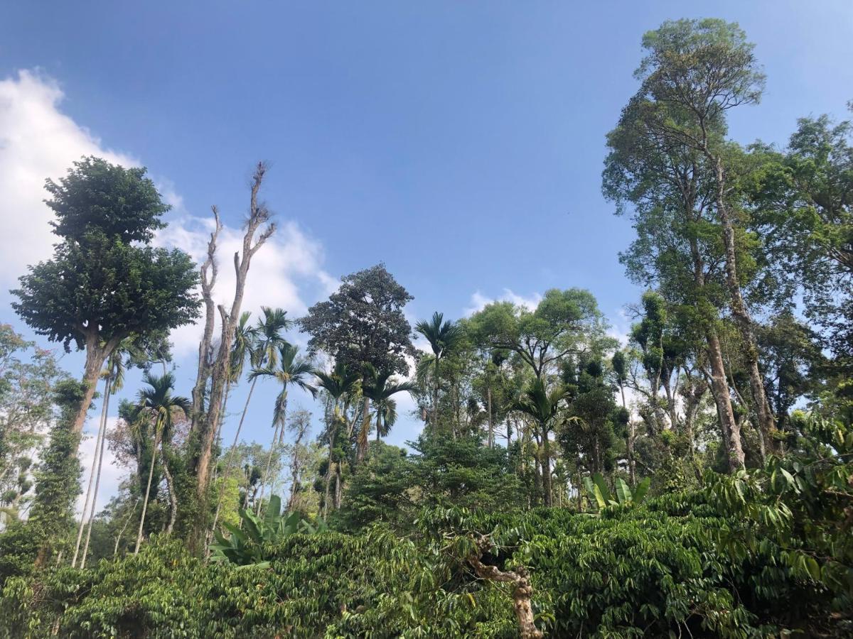 Kamoga Homestay 维拉杰佩特 外观 照片